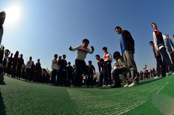 399_20121115201100_udcjo.jpg