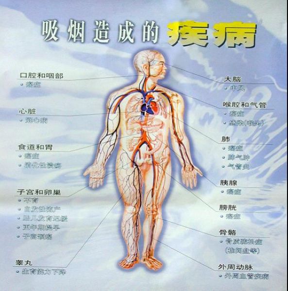 图片1_nEO_IMG.jpg 图片1_nEO_IMG.jpg